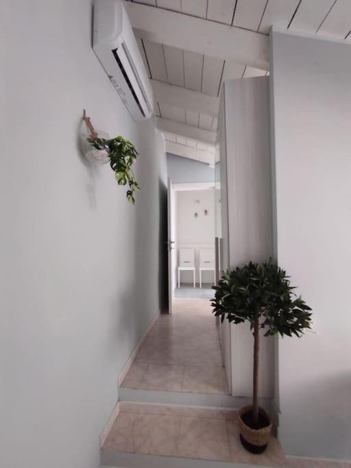 Free Parking Tiny House Wifi Netflix 15 Minuti Dal Duomo Apartment Milan Exterior photo